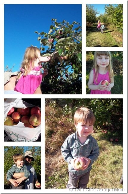 Apple picking! pleasantvalleycollage1web