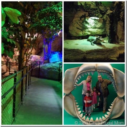 SeaLifeCollage4 SeaLifeCollage4