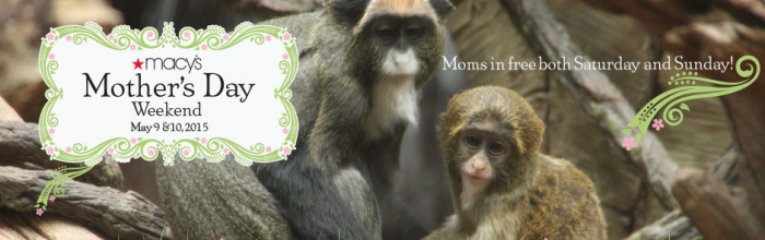 macysmothersday