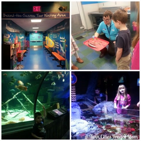 sealifemoabehindscenes