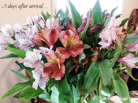 bloomsybox3daysafter