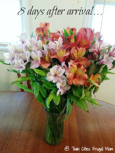 bloomsyboxbouquet8days