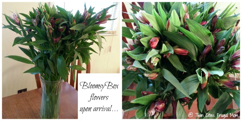 bloomsyboxuponarrival