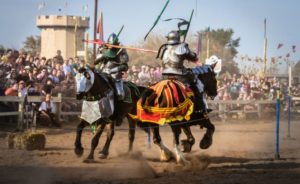 Minnesota Renaissance Festival