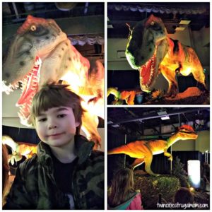 discover the dinosaurs