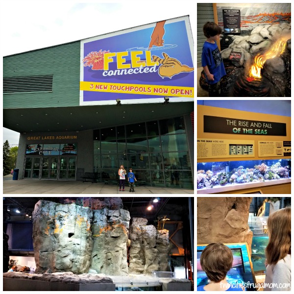 Great Lakes Aquarium