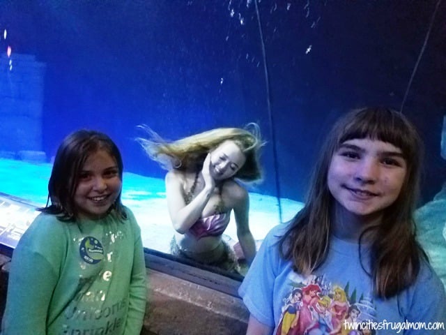 Sea Life Aquarium Mall of America Mermaids