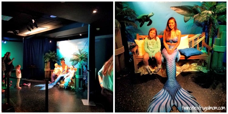 Sea Life Mall of America Mermaid Photo