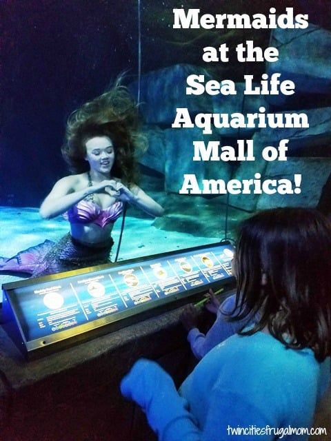 Sea Life Mall of America Mermaids
