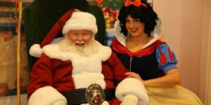 Pixie Dust Winter Princess Ball