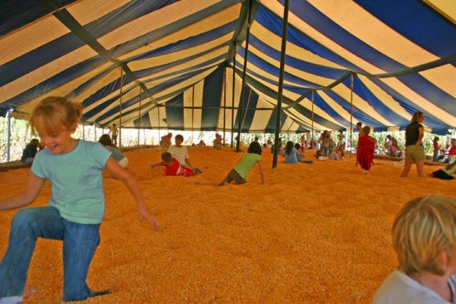 Severs Corn Pit