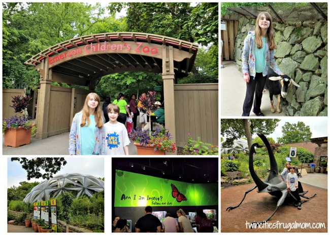 Visiting the St. Louis Zoo with kids