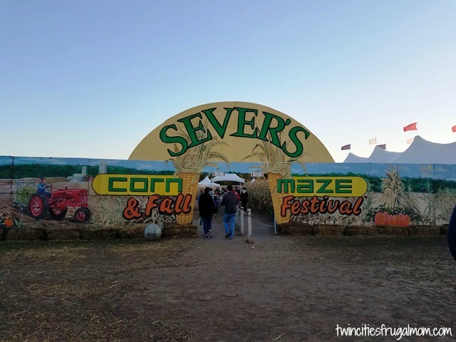 severs corn maze