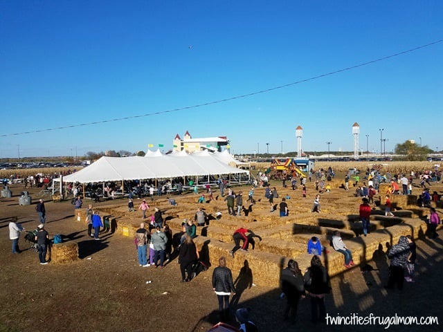 Sever's Fall Festival