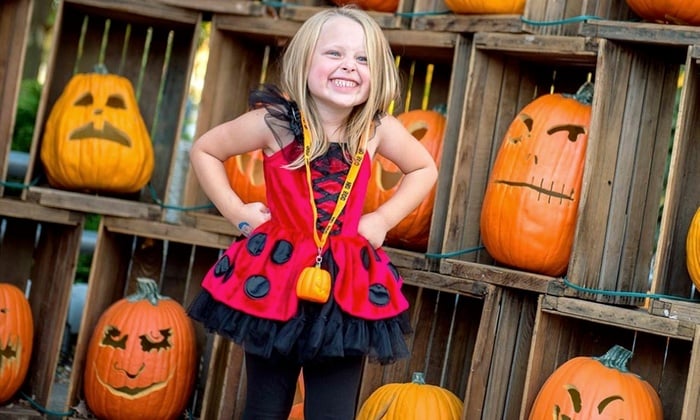 Valleyfair Great Pumpkin Fest