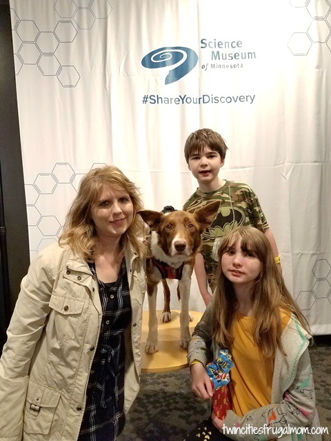 Superpower Dogs Henry