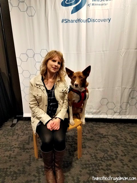 Superpower Dogs Henry