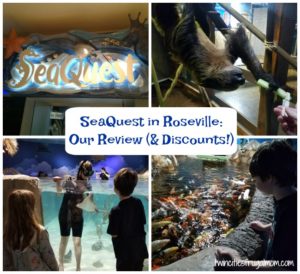SeaQuest Roseville