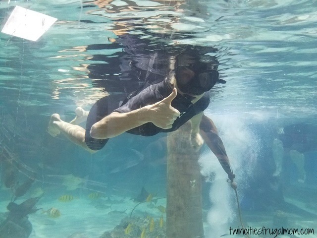 Seaquest Roseville Snorkeling