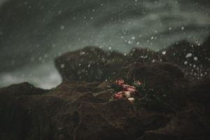 heartbreak