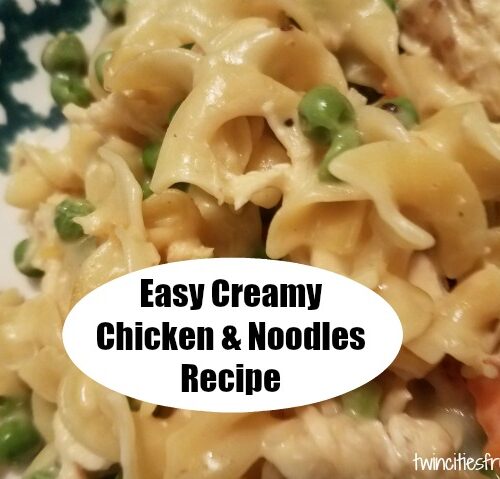 https://twincitiesfrugalmom.com/wp-content/uploads/2020/05/easycreamychickennoodles-500x479.jpg