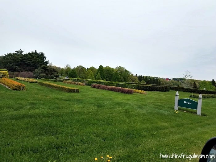 Minnesota Landscape Arboretum Hedges
