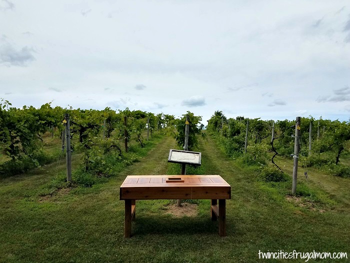 Wild Mountain Winery