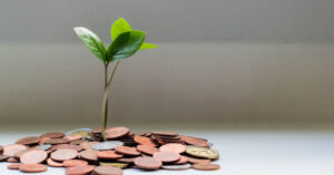Plant money