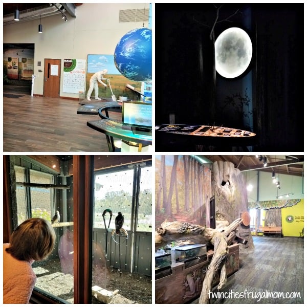Jay C. Hormel Nature Center in Austin