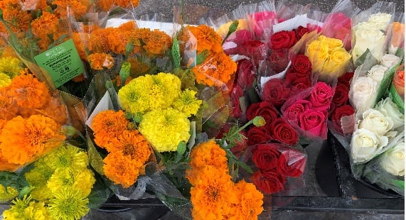 Petal it forward flowers