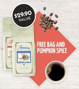 Amora Pumpkin Spice