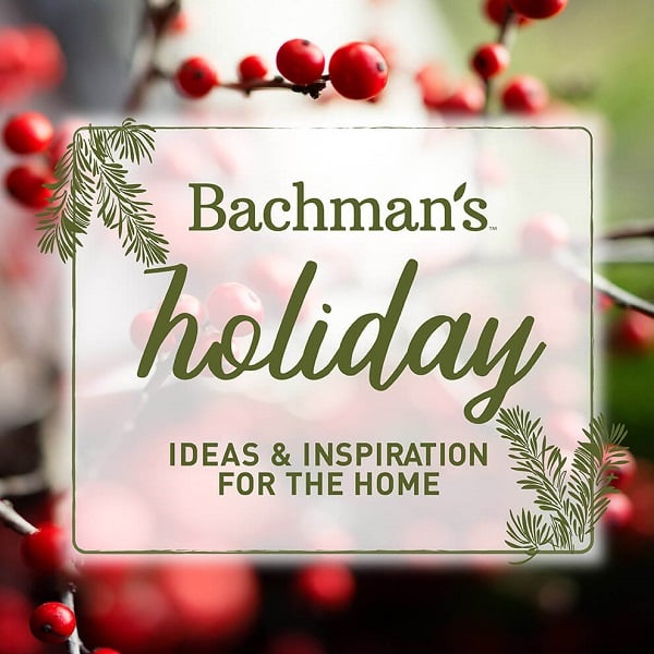 Bachman's Holiday Home