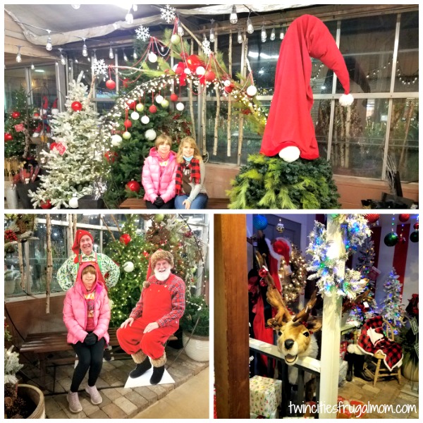 Bachman's Holiday House