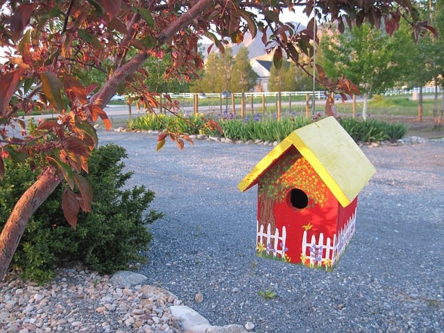 Birdhouse Painting