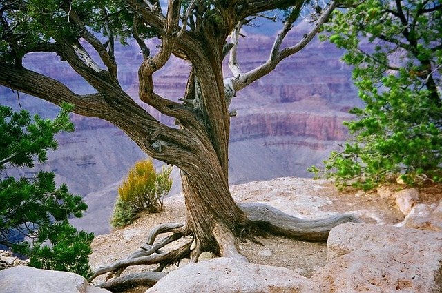 Grand Canyon