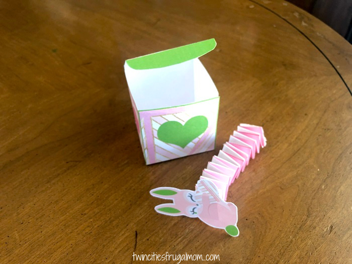 Valentine Bunny Spring