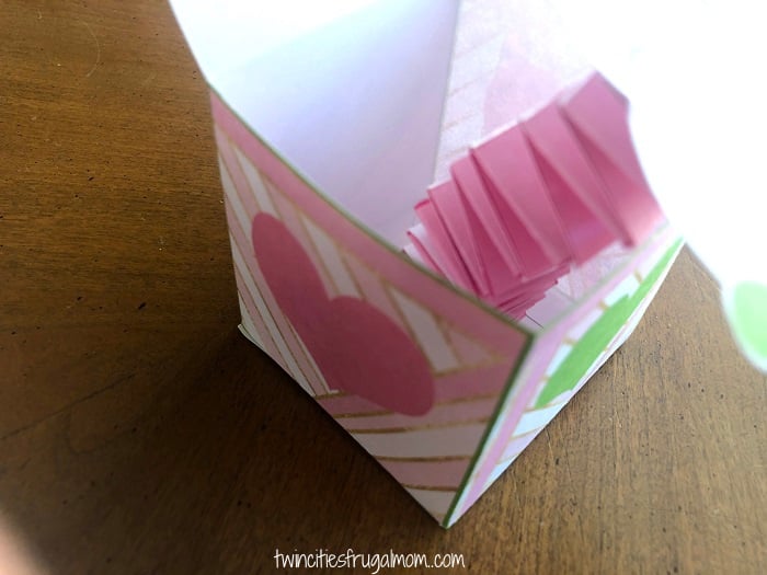 Valentine Bunny Spring in Box