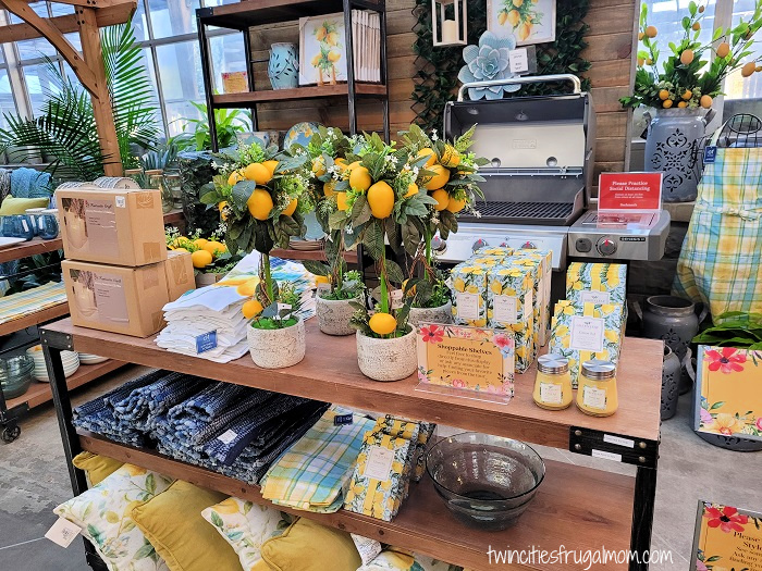 Bachman's Spring Ideas House