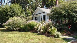 houseflowers