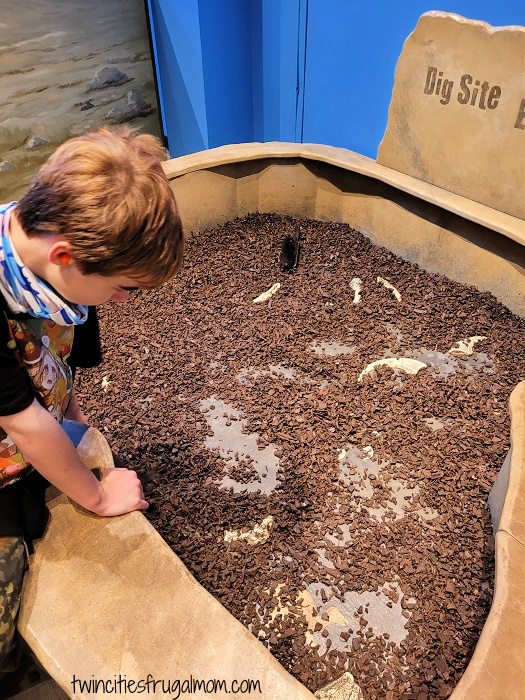 MCM Dinosaurs Play Area