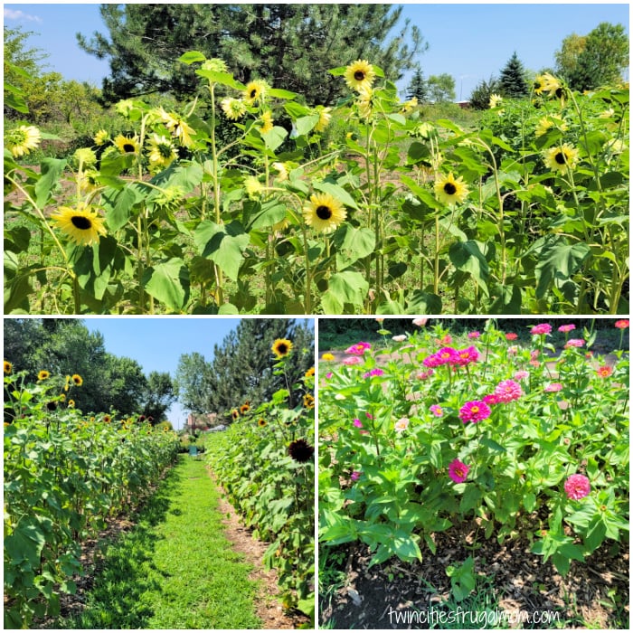 Emery Acres Flower Farm