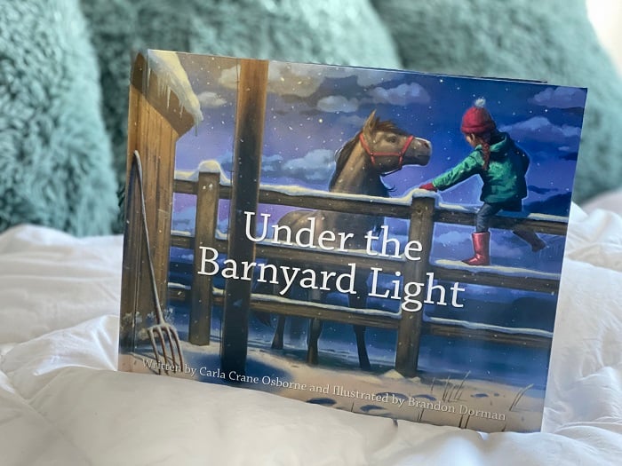 Under the Barnyard Light