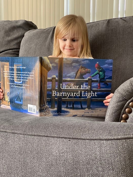 Under the Barnyard Light Book