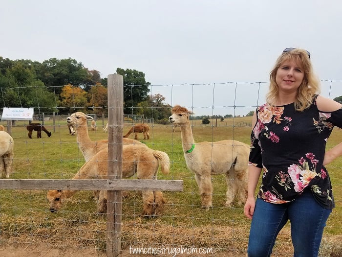 Foggy Bottom Alpacas