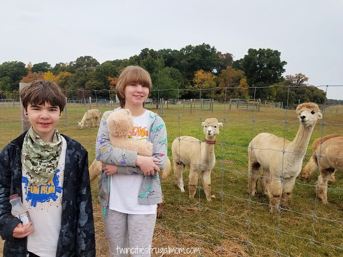Foggy Bottom Alpacas