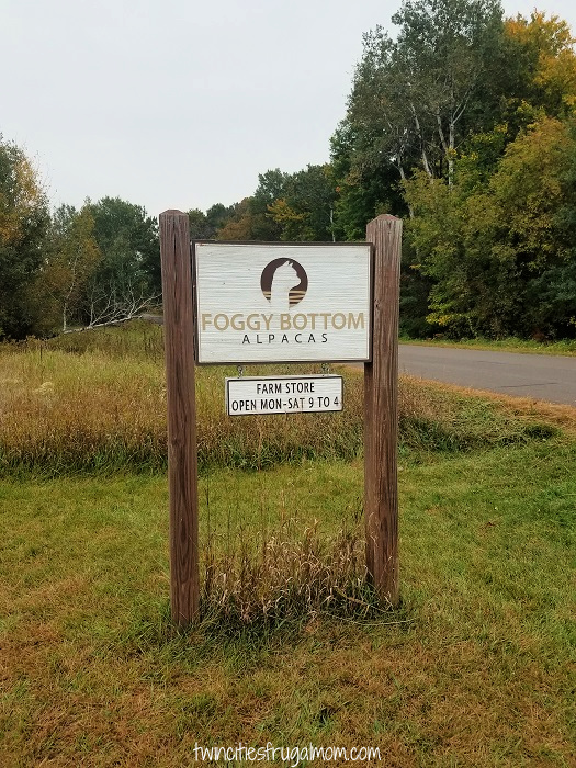 Foggy Bottom Alpacas