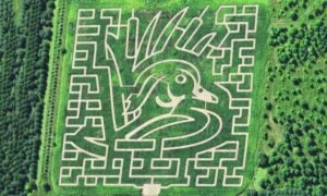 Montgomery Orchard