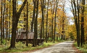 vermont