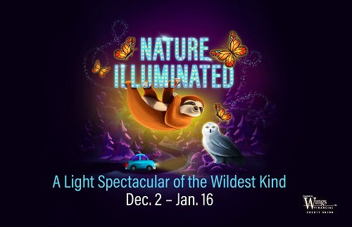 Nature Illuminated 2021