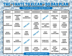 30 Day Hate to Clean Plan
